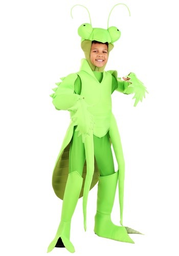 Click Here to buy Kids Praying Mantis Costume from HalloweenCostumes, CDN Funds & Shipping