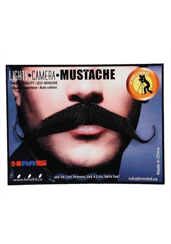 Handle bar mustache