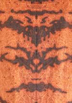 Adult Velociraptor Costume Alt 7