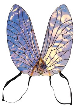 Holographic Bee Wings