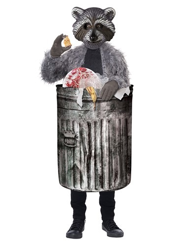 Click Here to buy Trash Panda Kids Costume from HalloweenCostumes, CDN Funds & Shipping