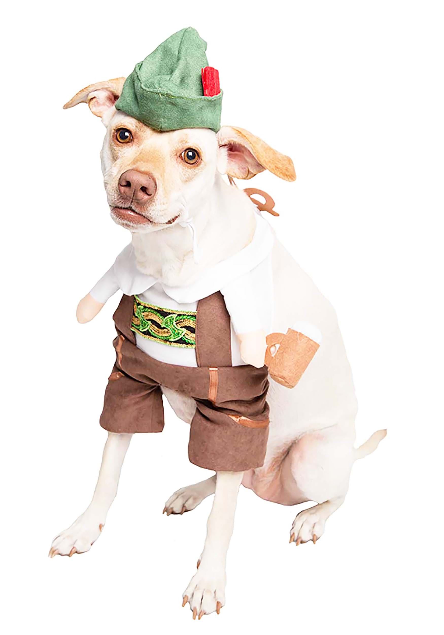 Pet Oktoberfest Costume