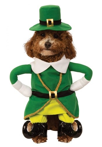 Click Here to buy Lucky Walking Leprechaun Dog Costume from HalloweenCostumes, CDN Funds & Shipping