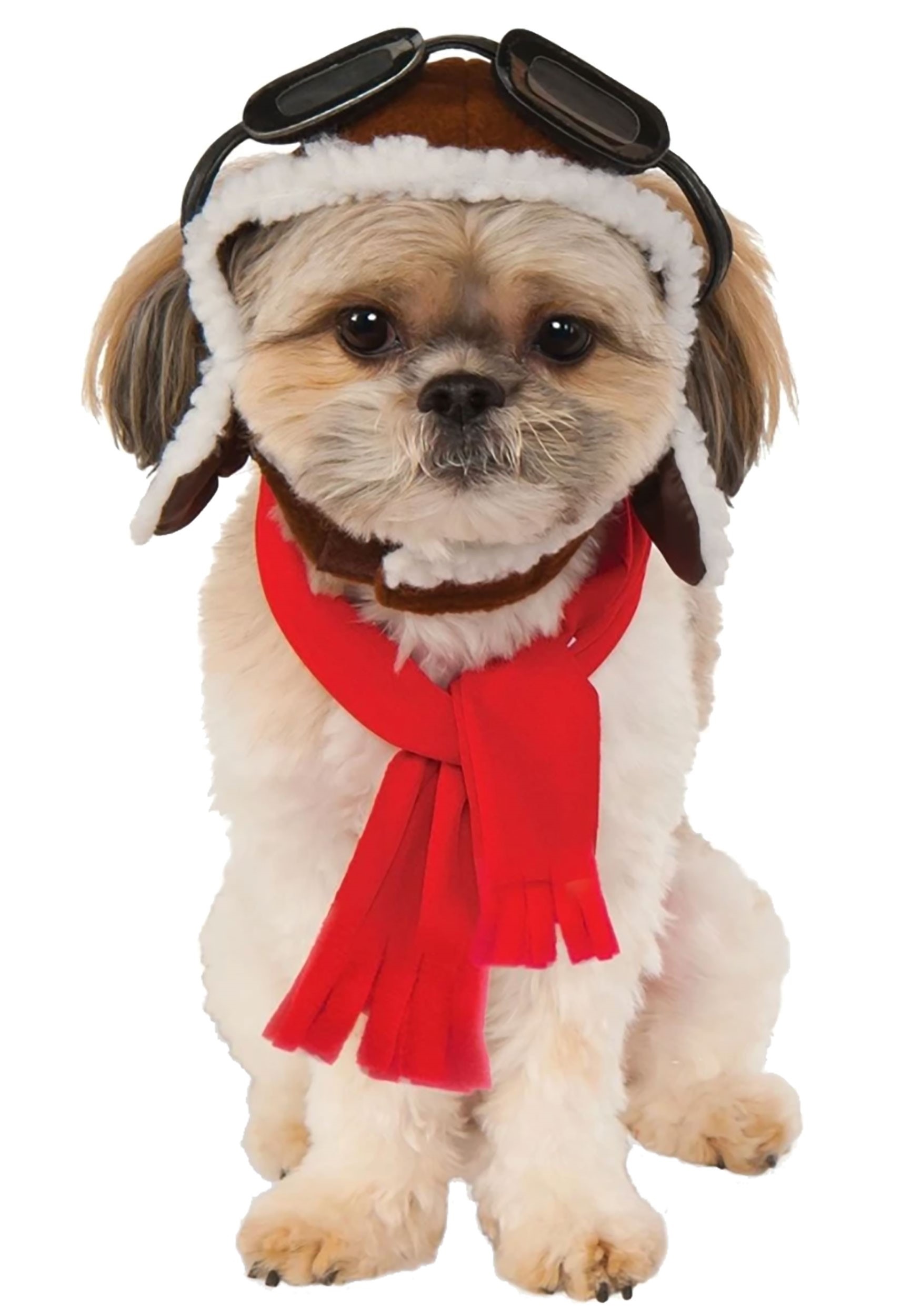 Dog on sale aviator costume