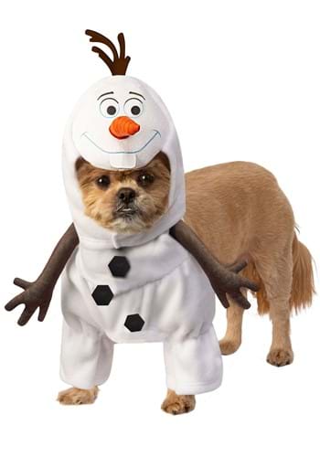 Click Here to buy Dog Frozen Olaf Costume from HalloweenCostumes, CDN Funds & Shipping