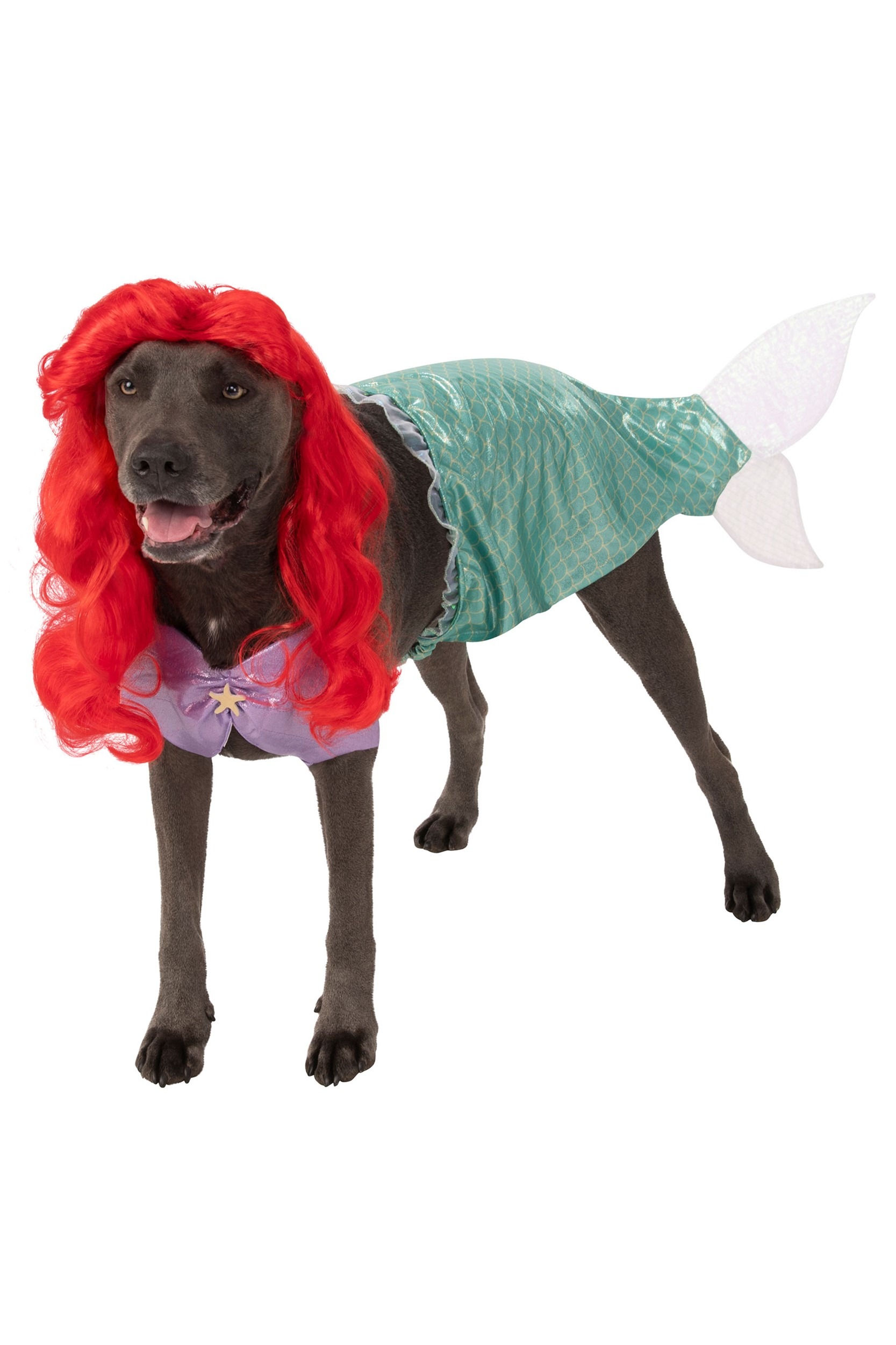Unique and Awesome Smaller Breed ONLY Mermaid Dog Halloween Costume size  xsmall-Large