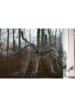 Black Spider Crasher