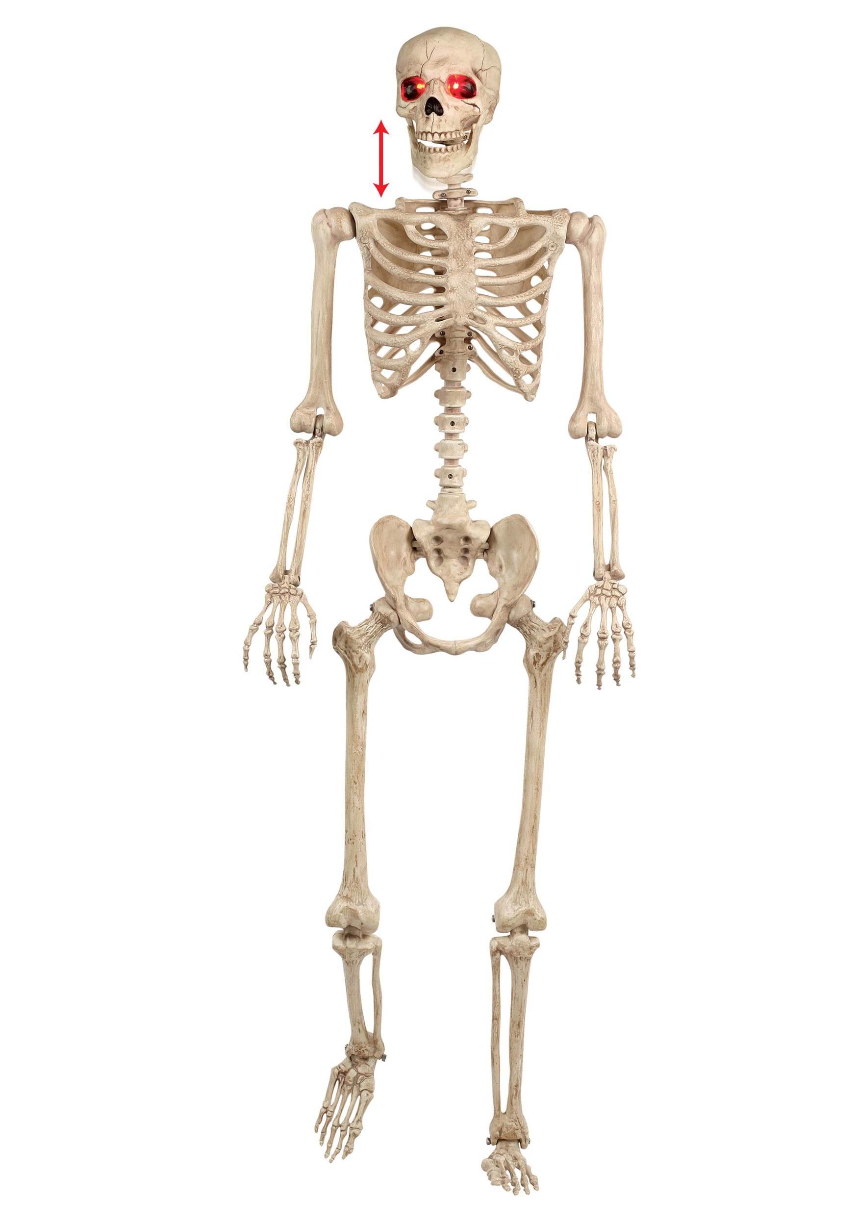 Animated  Mr. Crazy Bonez Skeleton