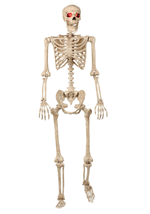 Animated Skeleton Mr. Crazy Bonez 