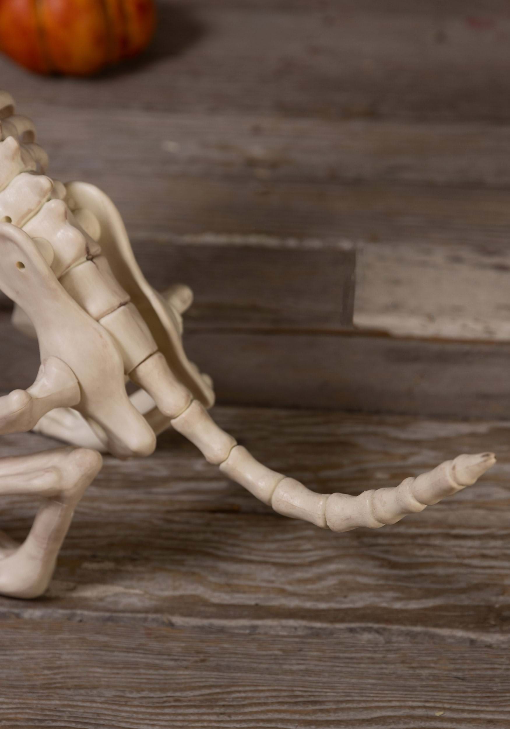 27 Inch Animated Howling Bonez Skeleton Dog Prop