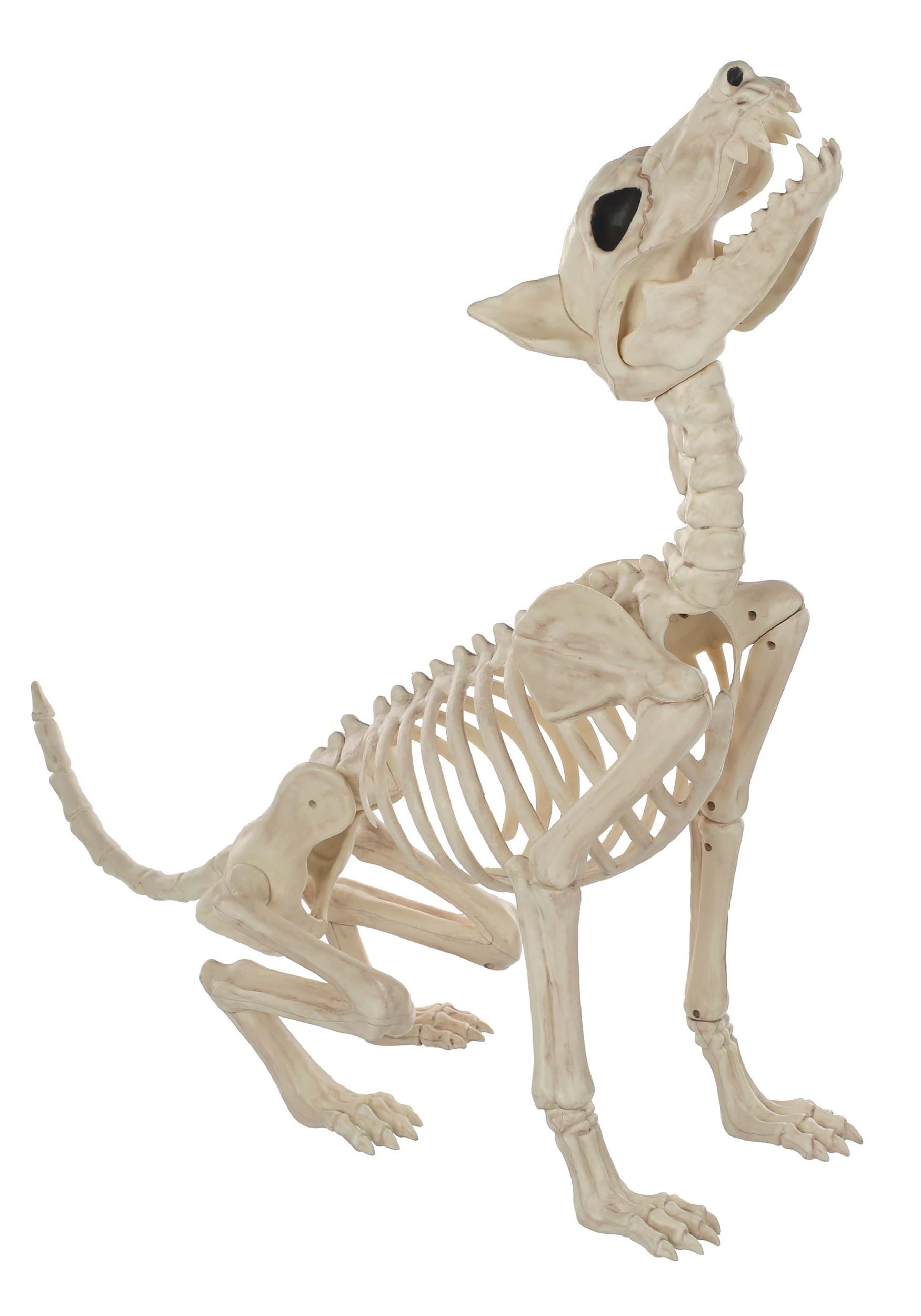 Skeleton Howl At The Moon Décor