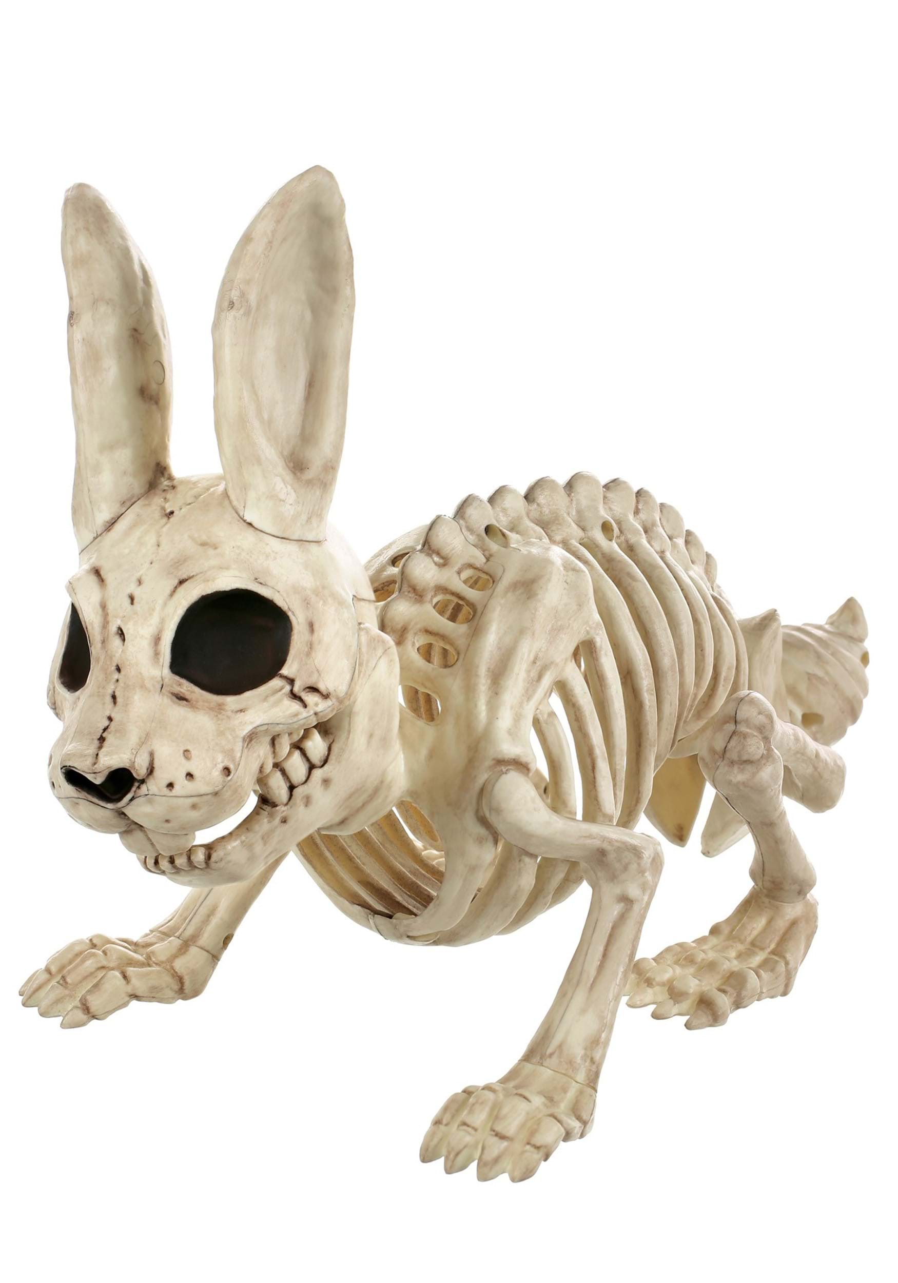 12.5-Inch Bunny Skeleton Bonez Decoration | Animal Skeletons
