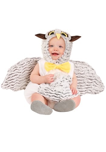 Click Here to buy Oliver the Owl Baby Costume from HalloweenCostumes, CDN Funds & Shipping