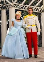 Adult Cinderella Prince Charming Costume Alt 1