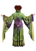 Plus Size Hocus Pocus Winifred Sanderson Costume Alt 3