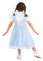 Toddler Deluxe Kansas Girl Costume Alt 4