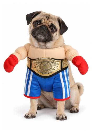 Boxer Pet Dog Costume upd