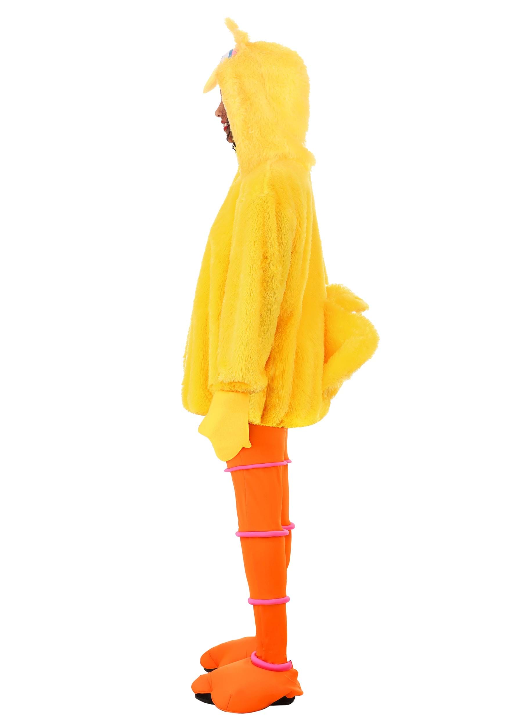 Sesame Street Cozy Big Bird Costume For Women , Sesame Street Costumes