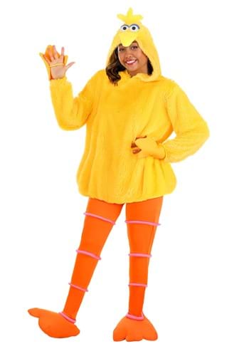 Click Here to buy Sesame Street Cozy Big Bird Womens Costume | Sesame Street Costumes from HalloweenCostumes, CDN Funds & Shipping