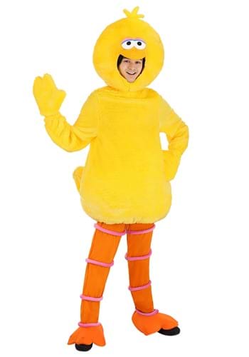 Click Here to buy Sesame Street Adult Big Bird Costume from HalloweenCostumes, CDN Funds & Shipping