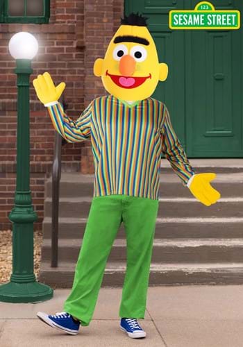 Plus Size Sesame Street Bert Costume
