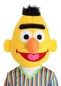 Plus Size Sesame Street Bert Costume Alt 4