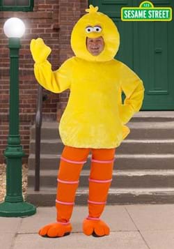 Plus Size Sesame Street Big Bird Costume