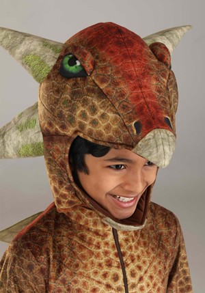 Costume Squelette Dinosaure Enfant – Halloween Et Fêtes Déguisées !