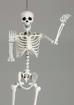 5 Ft Posable Skeleton (M38299) Alt 1