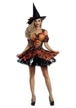 Women's Harvest Witch Costume Alt 1