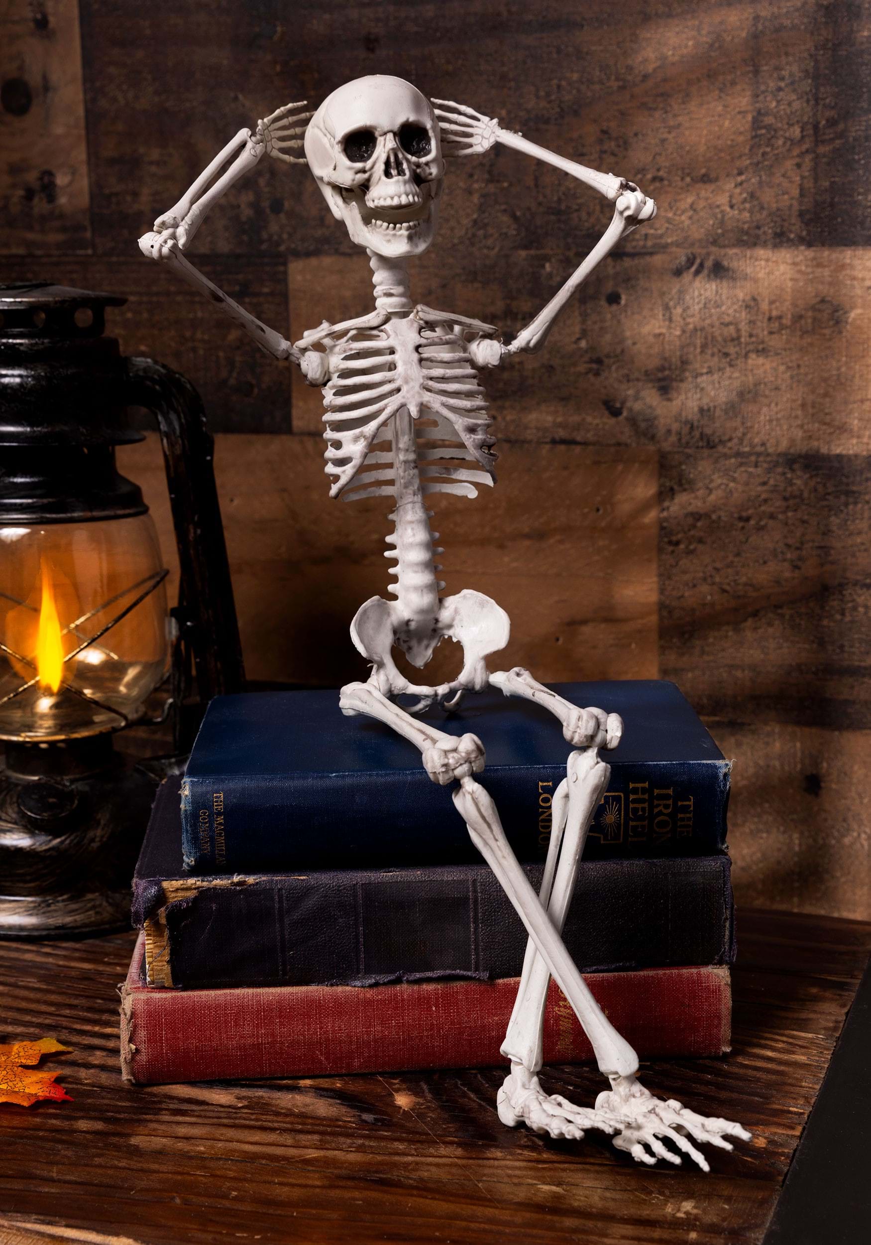 Poseable 20 Inch Skeleton Prop , Skeleton Decorations