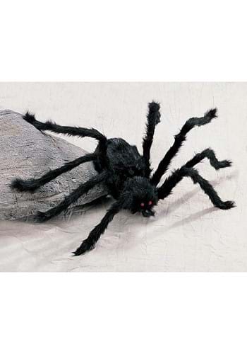 Medium Hairy Black Spider