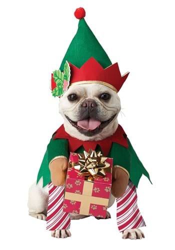 Click Here to buy Pet Elf Dog Costume from HalloweenCostumes, CDN Funds & Shipping