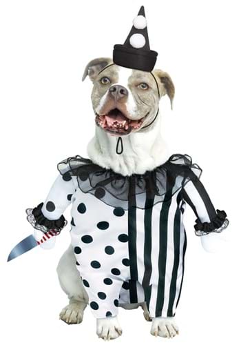 Click Here to buy Pet Evil Clown Dog Costume from HalloweenCostumes, CDN Funds & Shipping