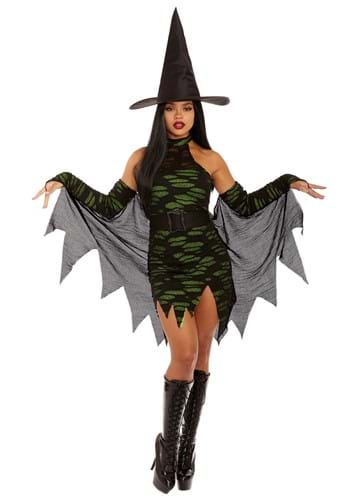 Miss Enchantment Womens Adult Size Costume