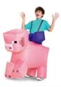 Minecraft Child Ride-On Inflatable Pig Costume