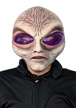 Adult Grey Alien