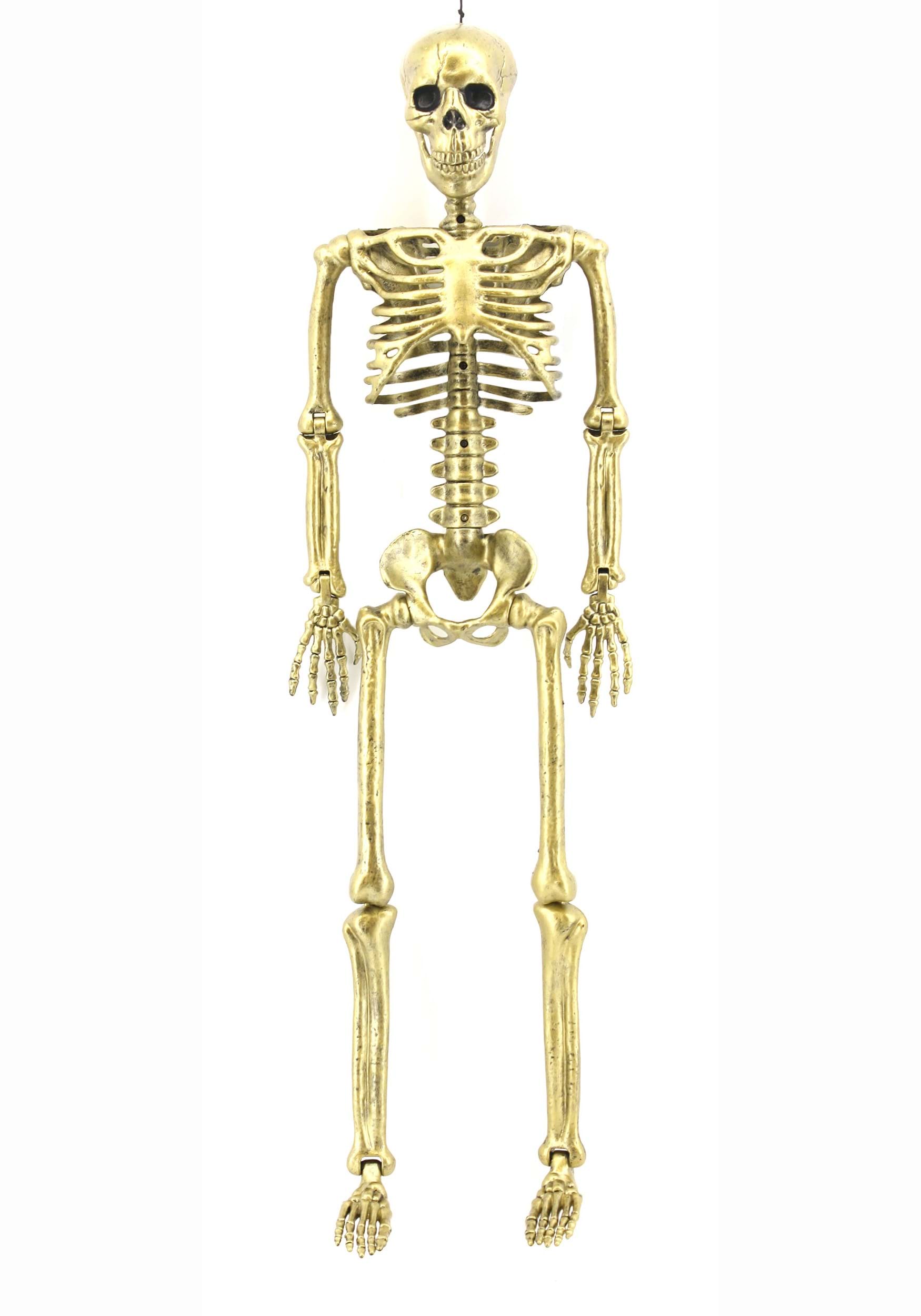 Gold 24 Skeleton