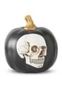 8.5" Black Pumpkin w/Embossed Skull Alt 1