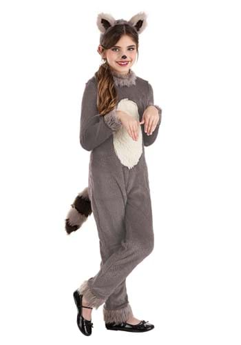 Racoon 2024 baby costume