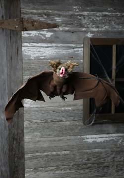 Brown Bat (MC0091)