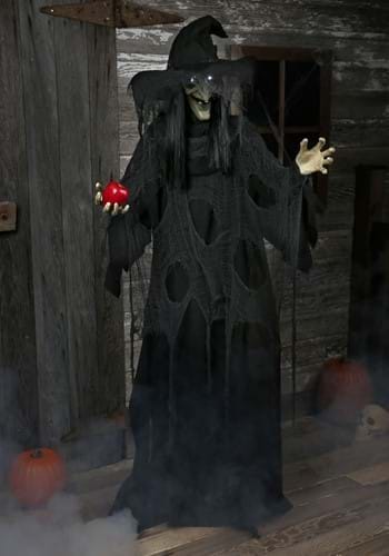 Animated Standing Witch (LL4-900325DZ-AD050F)-1