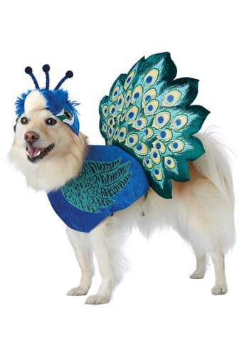 Click Here to buy Pet Costume: Pretty as a Peacock from HalloweenCostumes, CDN Funds & Shipping