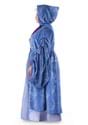 Plus Size Premium Fairy Godmother Costume Alt 3
