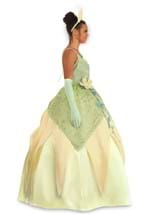 Adult Deluxe Tiana Costume Alt 16