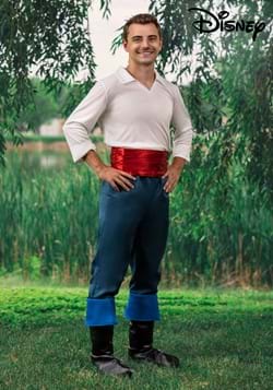 Adult Prince Eric Costume-2
