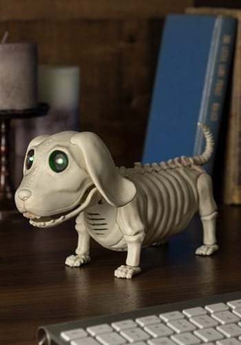 Dog Skeleton Model - Skeleton Dog Decoration - Halloween Cemetery Skeleton  Dog - for Halloween Decoration Terror Scary Props, Antique Look, Old Aged  Finish,Constructive23 : : Home