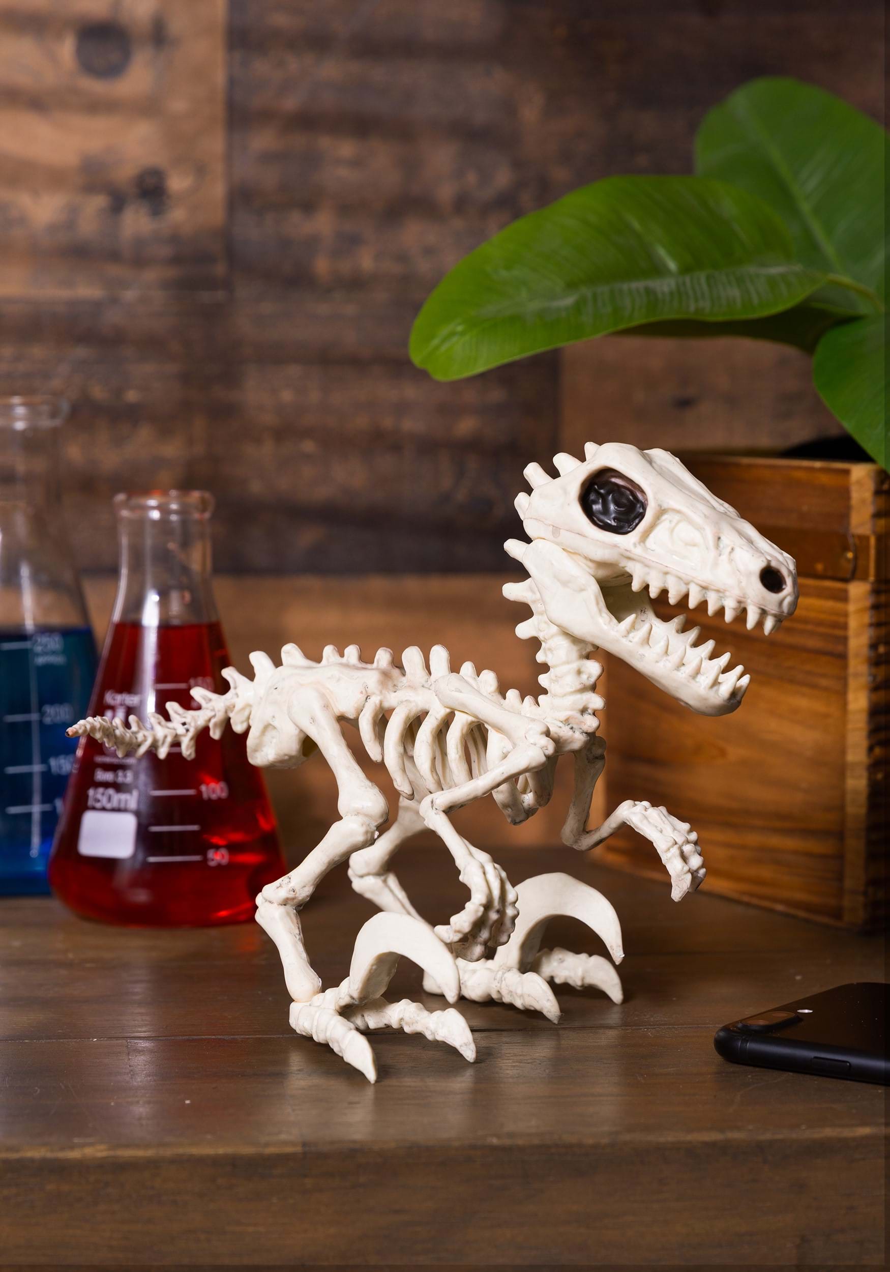 5.5-Inch Raptor Crazy Bonez Halloween Prop , Animal Skeletons