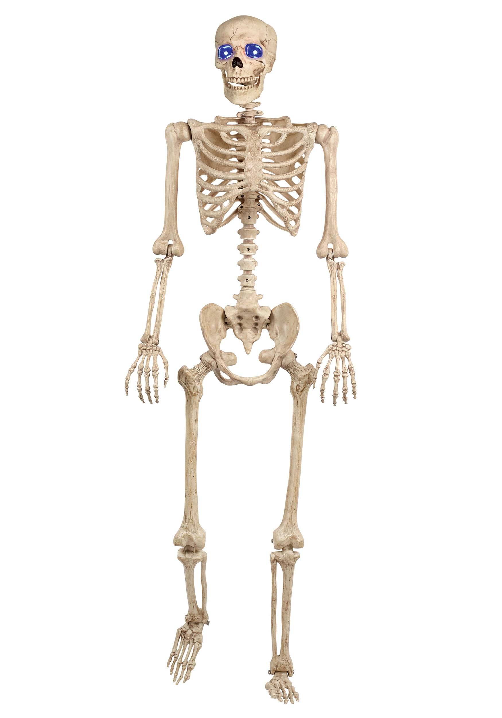 5FT Light Up Blue Eyes Poseable Human Skeleton Prop Decoration | Poseable Skeletons