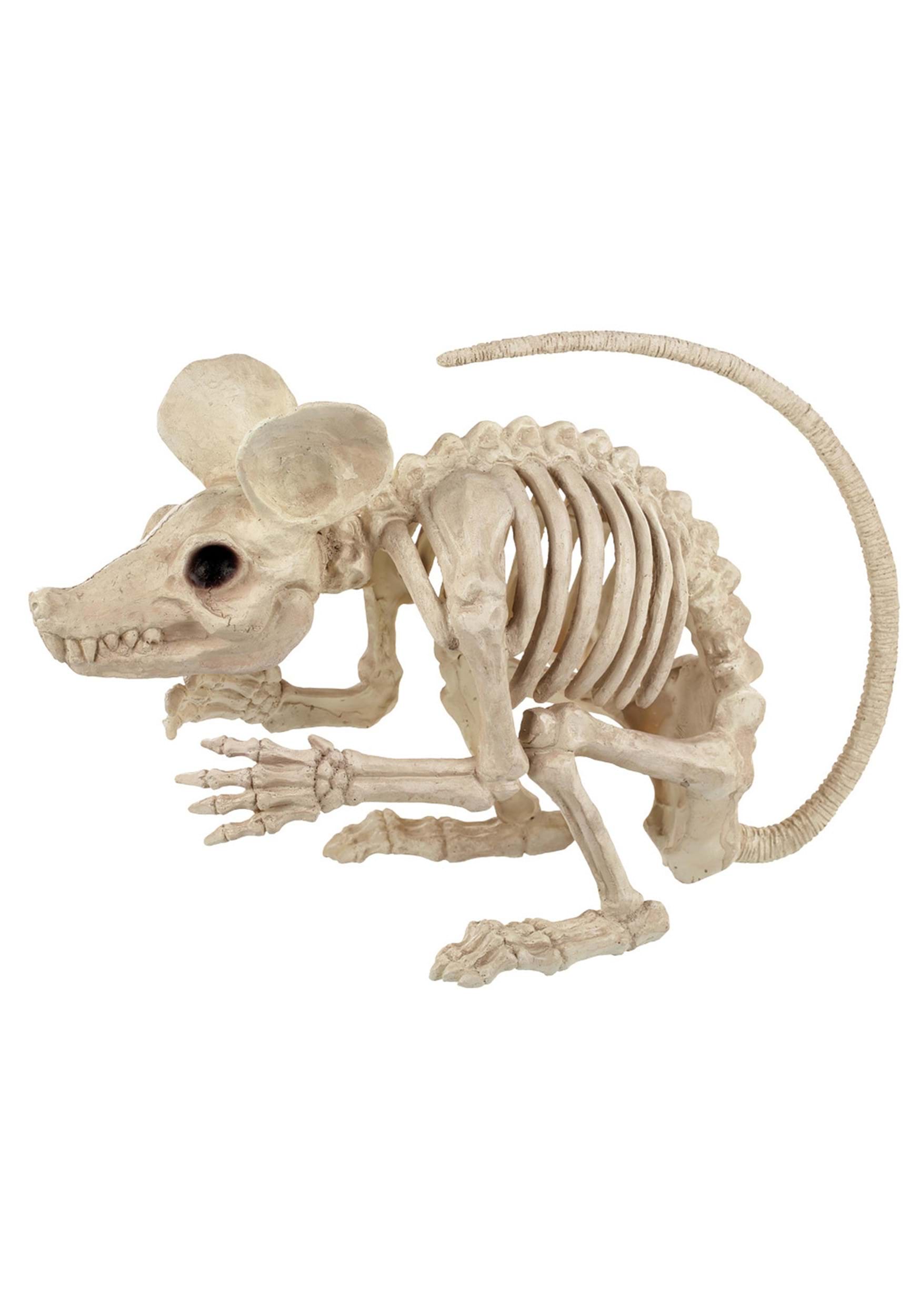 19-Inch Attack Rat Skeleton Prop , Halloween Decorations